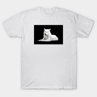 White Wolf / Swiss Artwork Photography T-Shirt